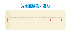 シングルモードの構造